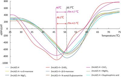 Zinc Transporter ZmLAZ1-4 Modulates Zinc Homeostasis on Plasma and Vacuolar Membrane in Maize